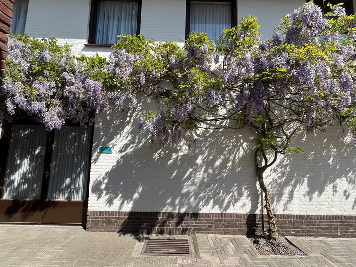 Foto 42 van Virmundtstraat 20