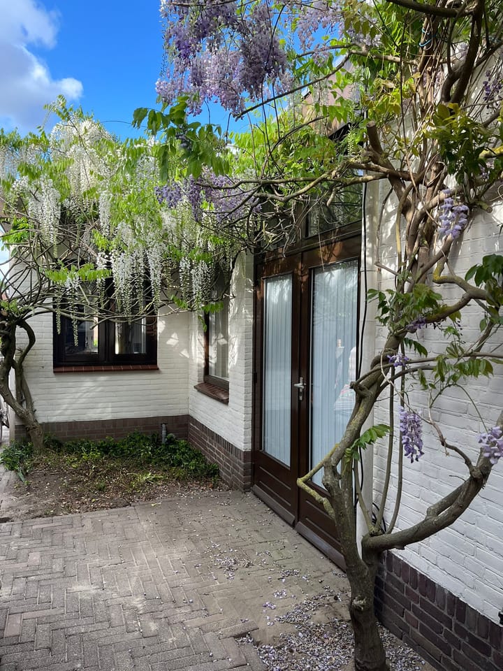 Foto 47 van Virmundtstraat 20