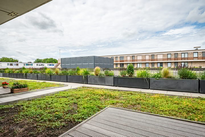 Foto 14 van De Boei 18