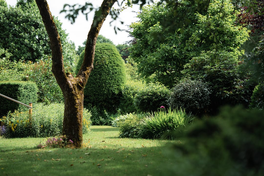 Foto 16 van Gezellelaan 16