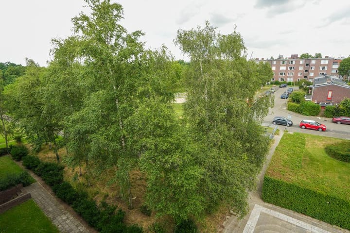 Foto 22 van Plutostraat 8