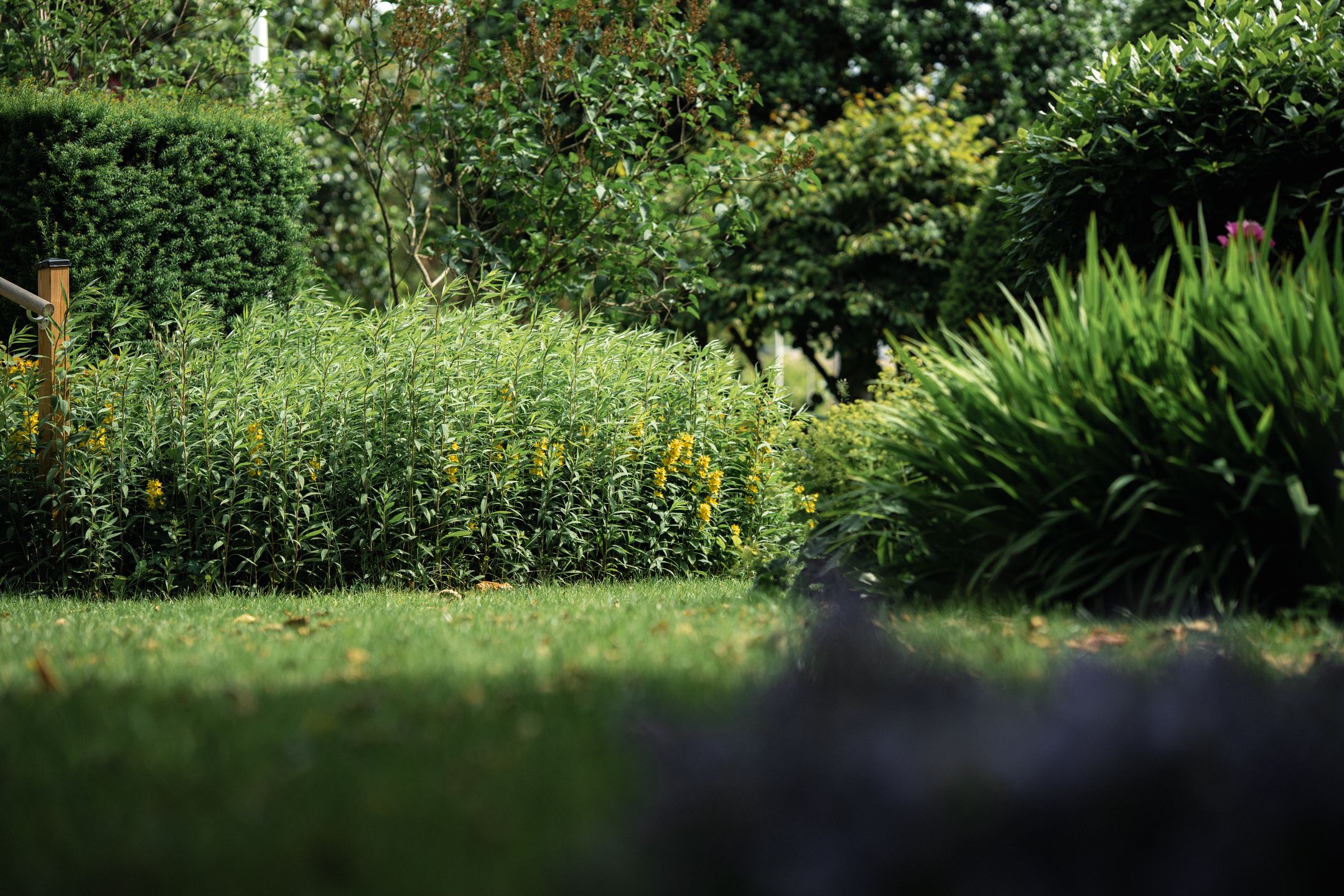 Foto 21 van Gezellelaan 16