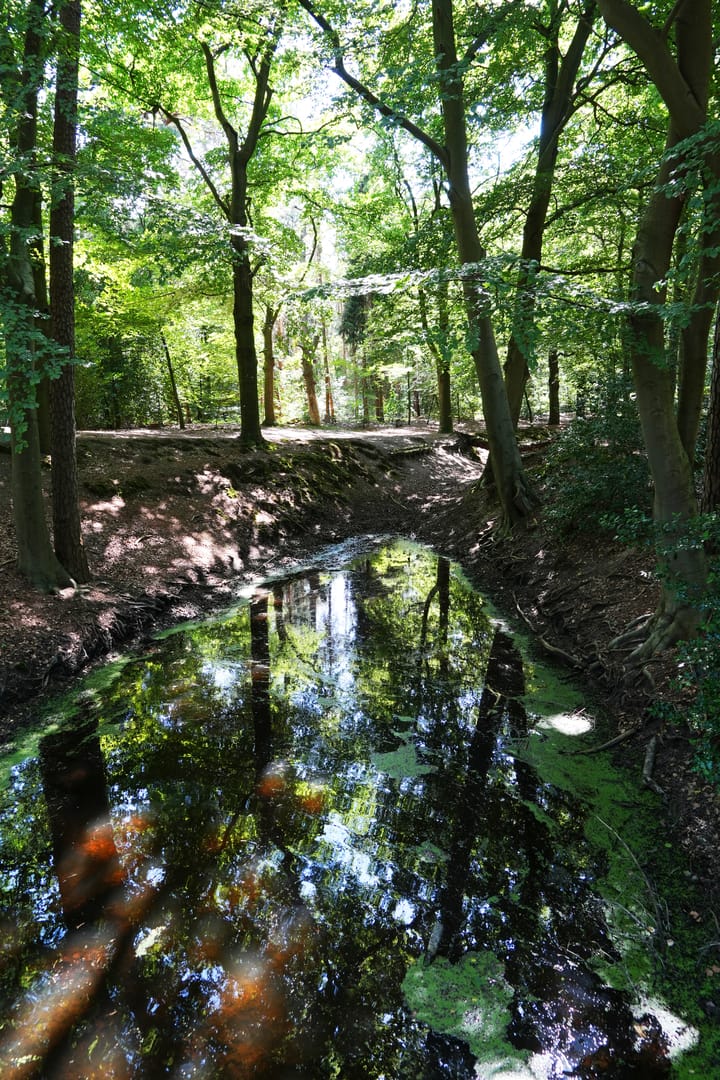 Photo 9 of Duinweg 30