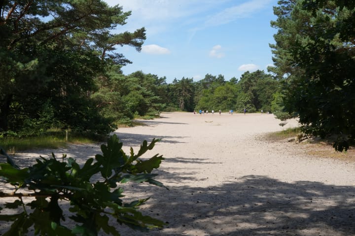 Photo 11 of Duinweg 30