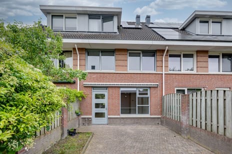 Heisprong 14 tertiary image