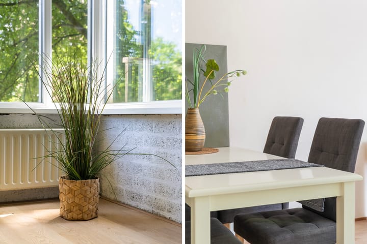 Foto 7 van Burgemeester Patijnlaan 656