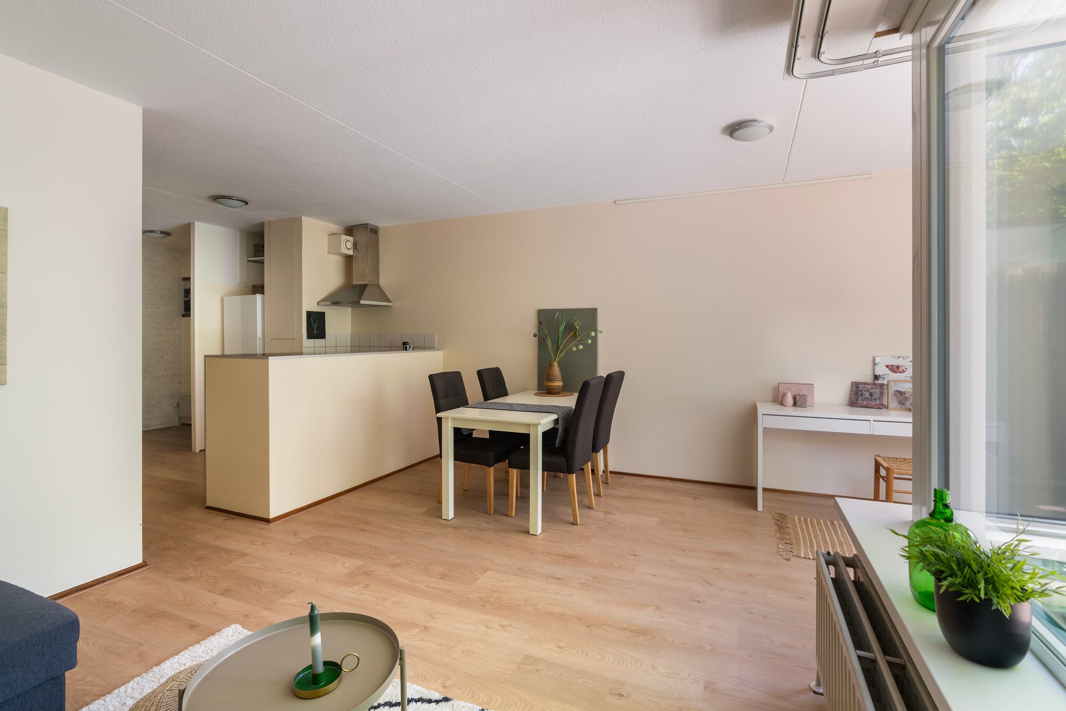 Photo 9 of Burgemeester Patijnlaan 656