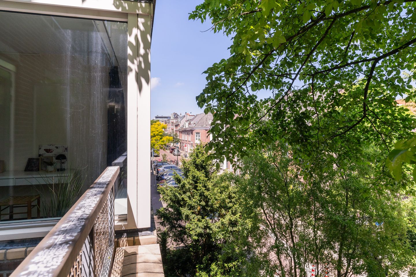 Photo 20 of Burgemeester Patijnlaan 656