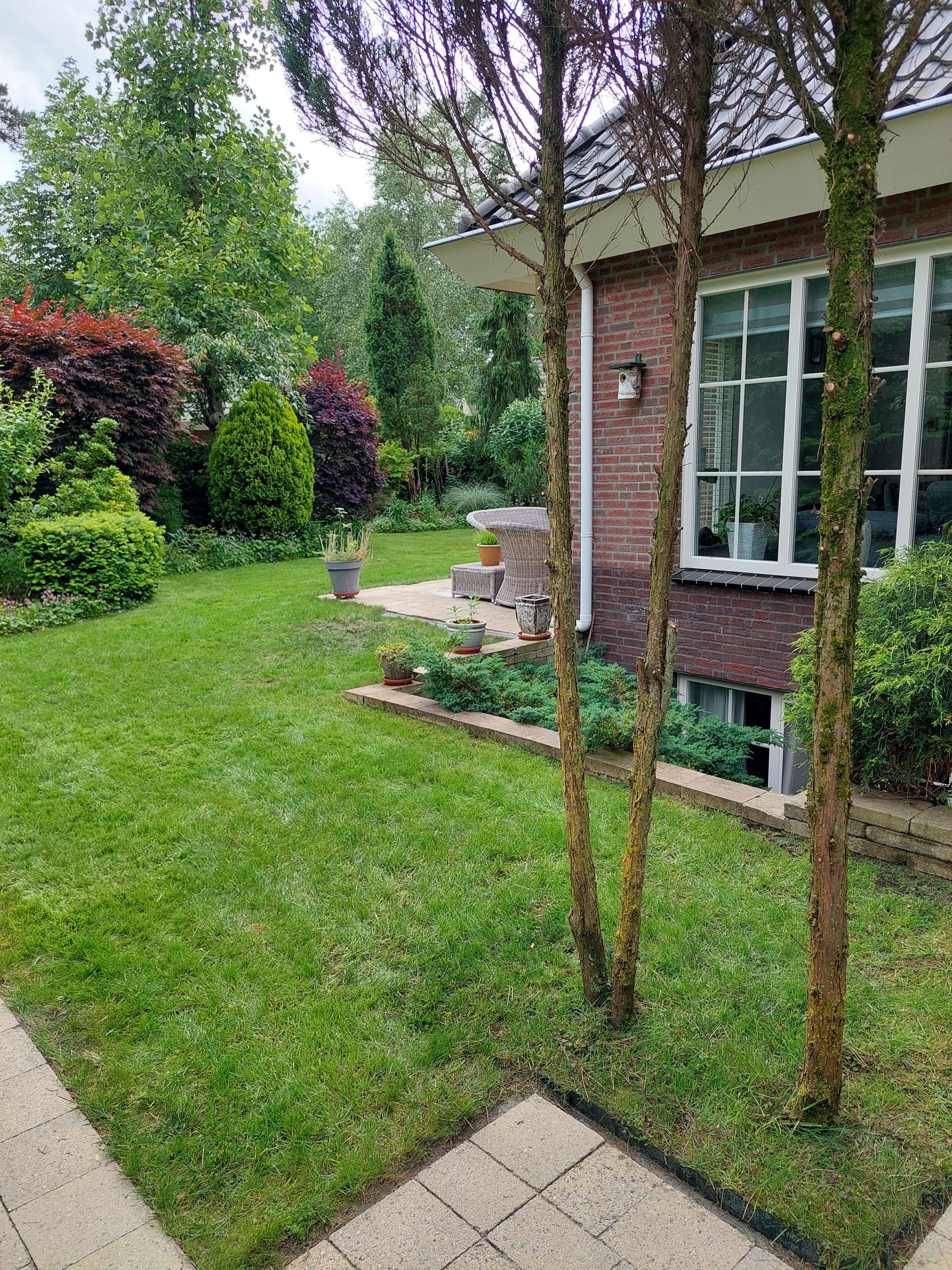 Foto 39 van Lage Bergweg 39-27