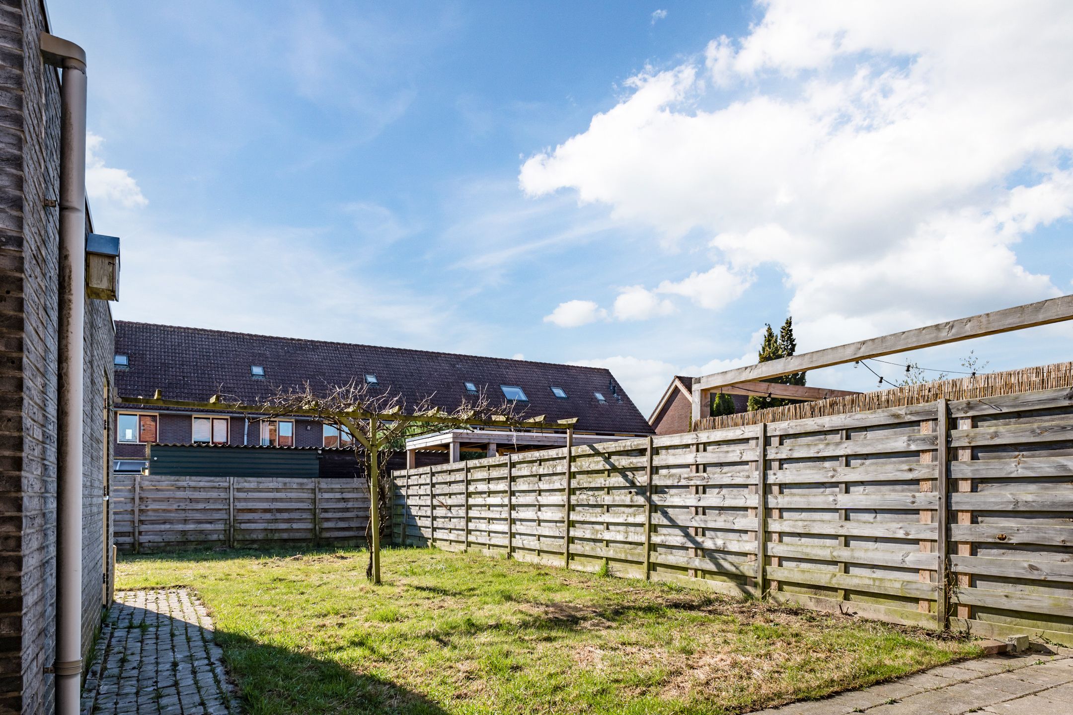 Photo 33 of Sterappel 1