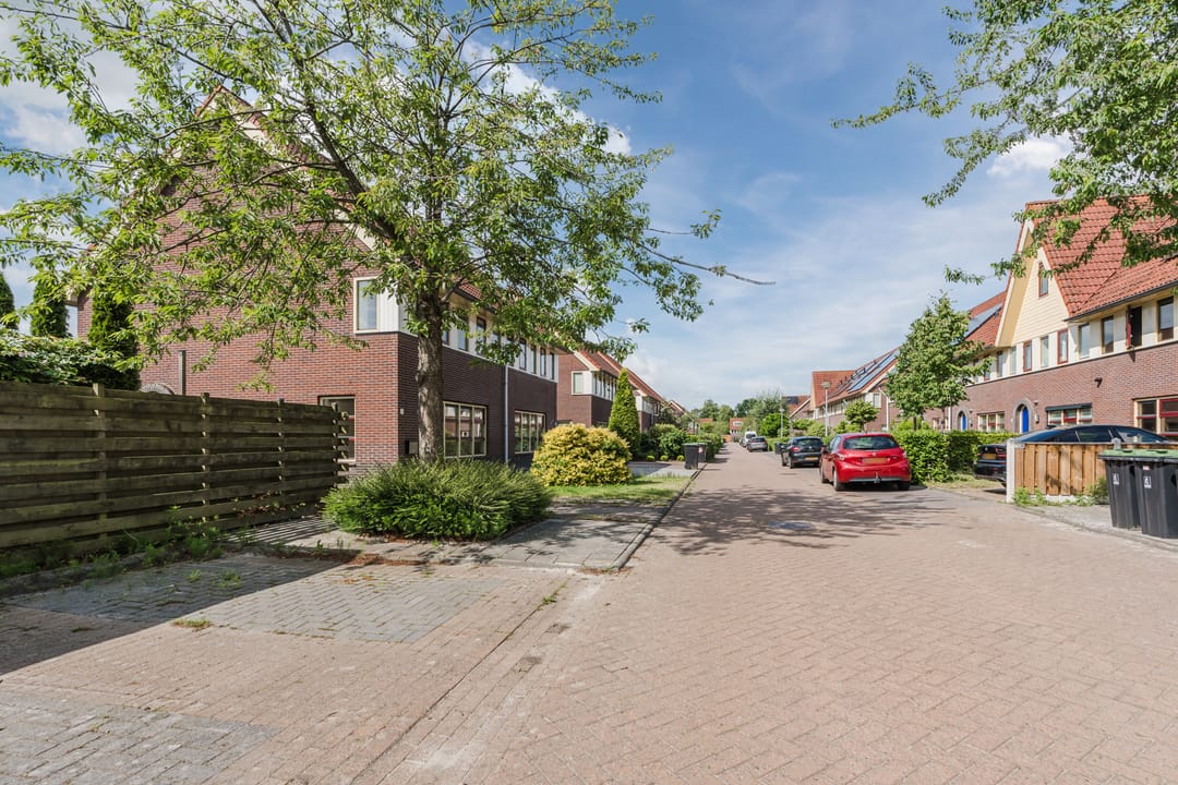 Photo 38 of Sterappel 1