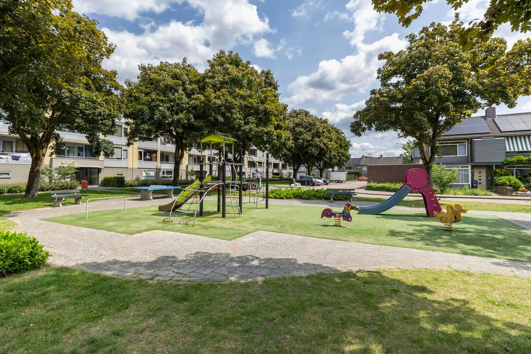 Foto 38 van Sirius 12