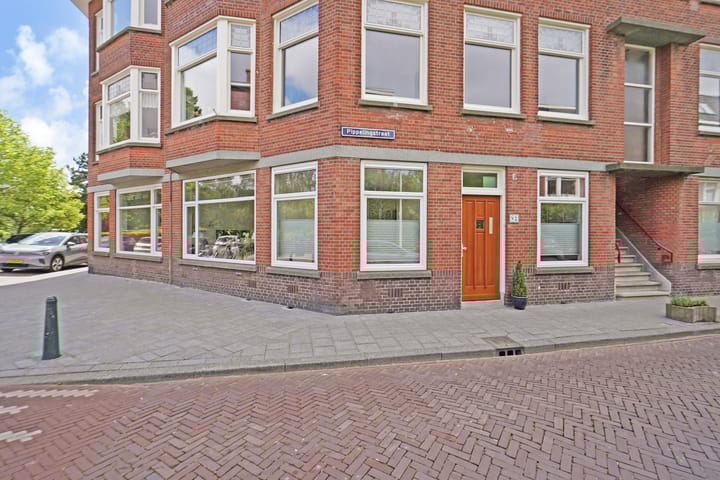 Foto 8 van Pippelingstraat 2