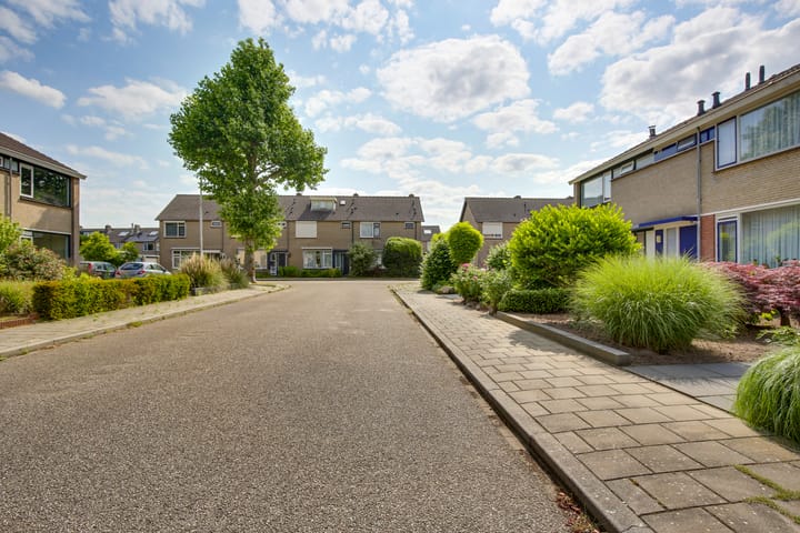 Foto 28 van Strauszstraat 53