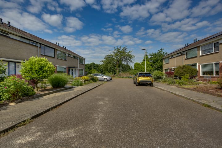 Foto 29 van Strauszstraat 53