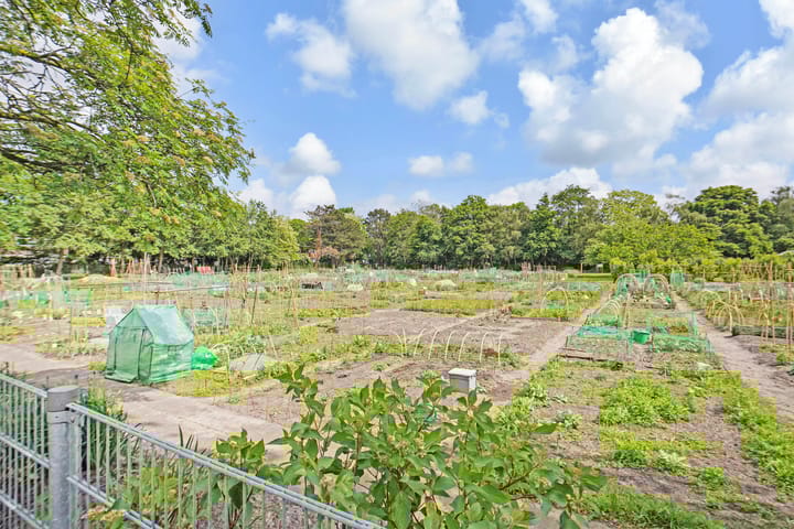 Foto 57 van Pippelingstraat 2