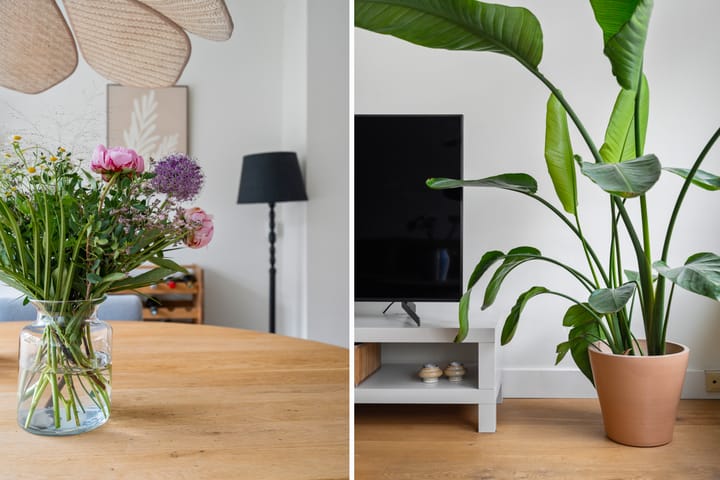 Foto 11 van Van der Meydestraat 10-B