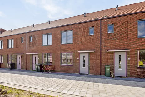 undefined main image