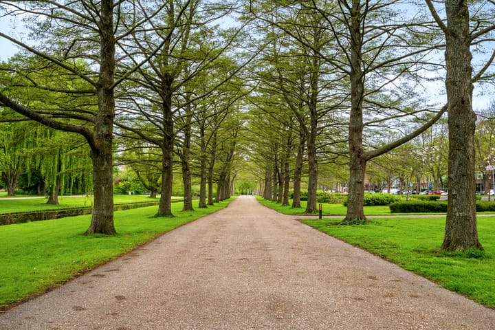 Foto 35 van Van der Meydestraat 10-B