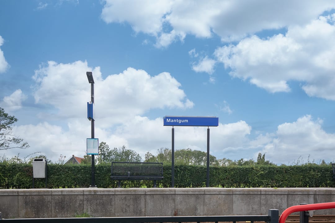 Photo 8 of Galemahiem