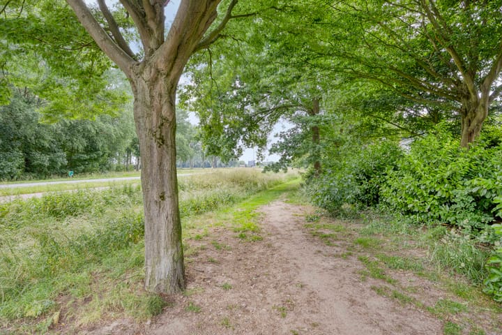 Foto 35 van Leliestraat 7