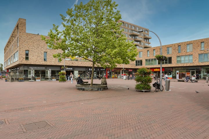 Foto 38 van Sneeuwbalstraat 55