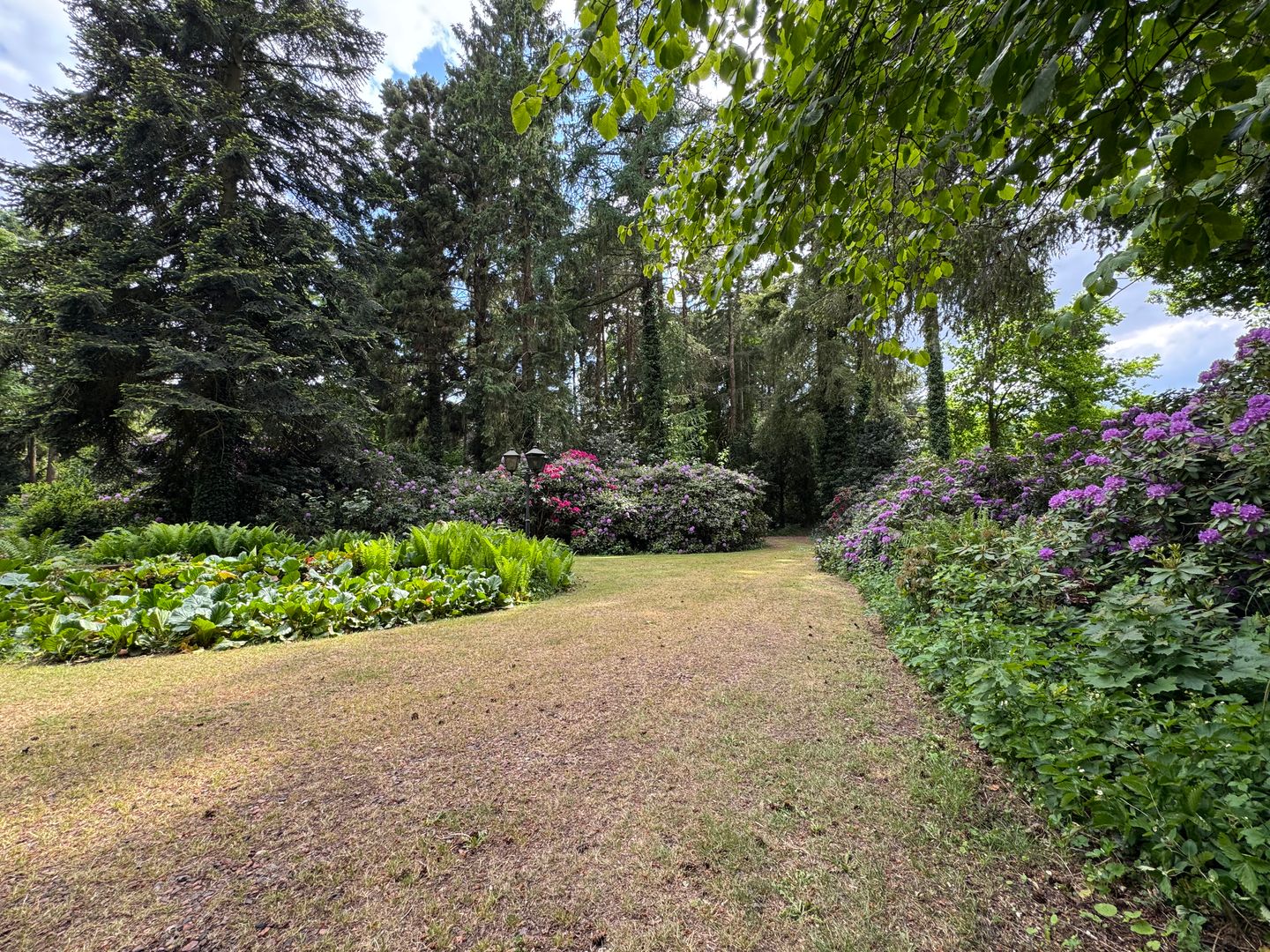 Foto 49 van Groteweg 44