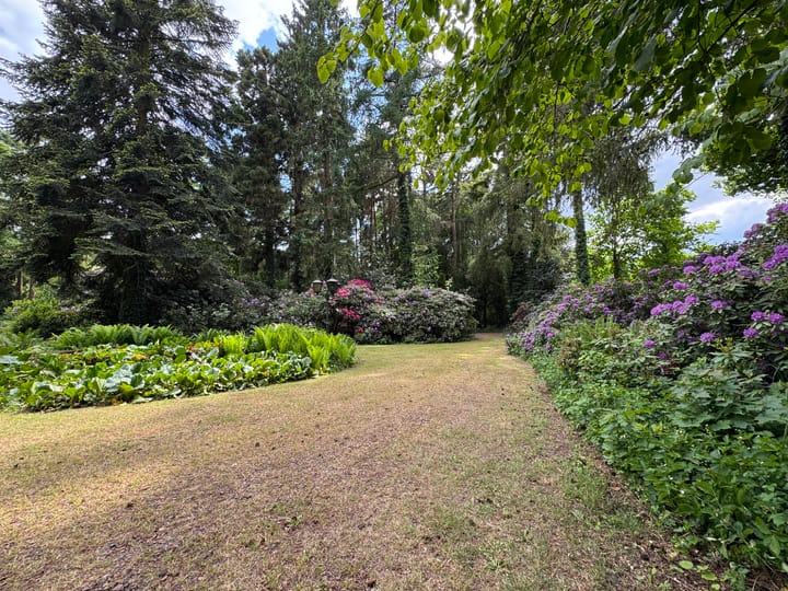 Foto 49 van Groteweg 44