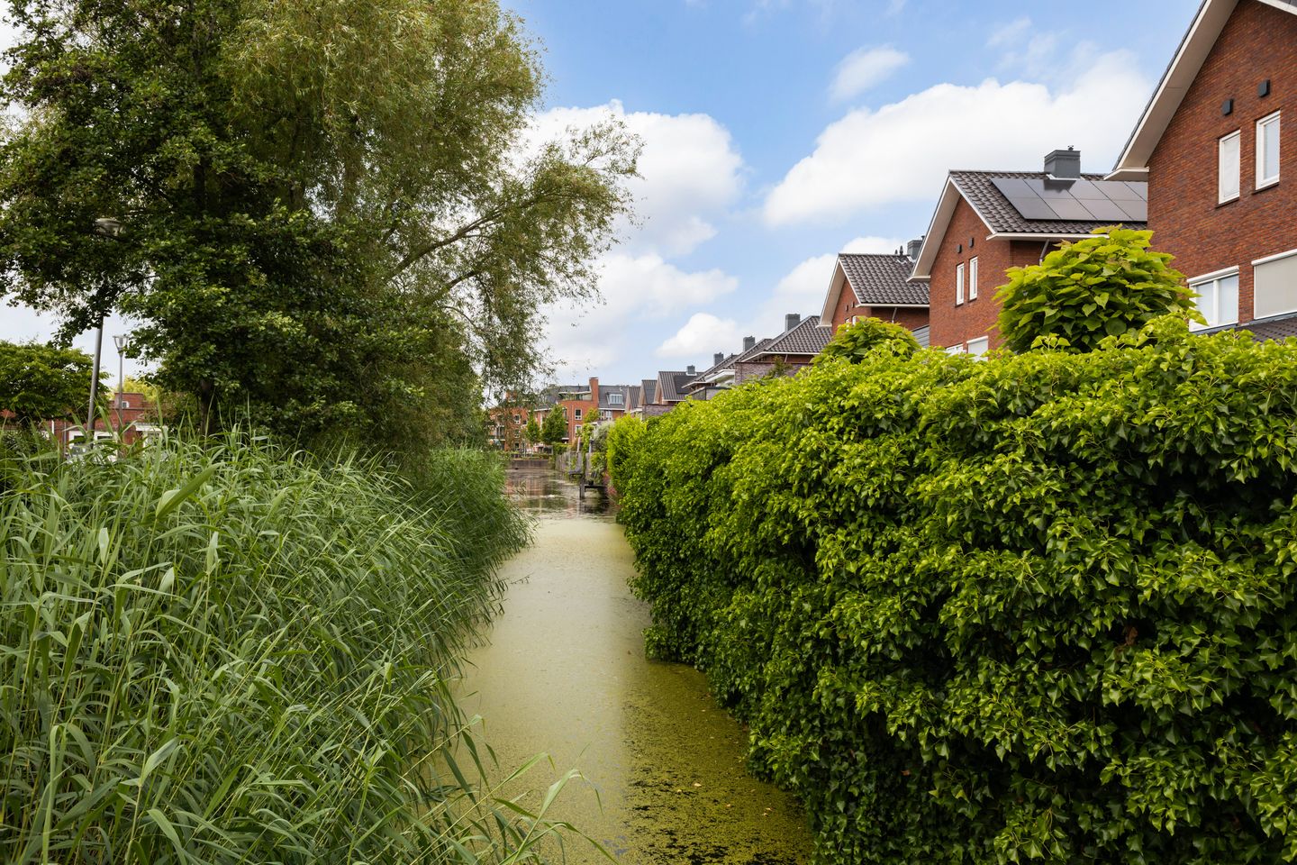 Foto 65 van Willem van Leusdenlaan 34