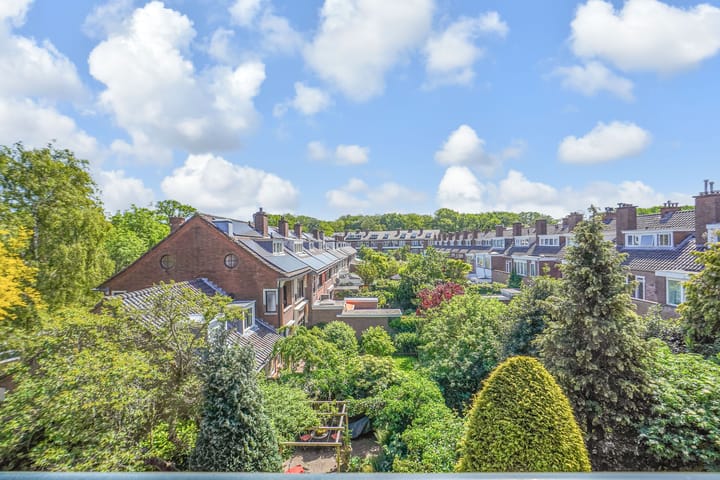 Foto 10 van Ridderlaan 127