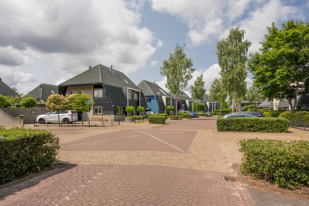 Foto 31 van Gentiaan 35