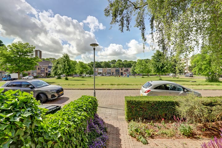 Photo 3 of Van der Duyn van Maasdamplantsoen 29