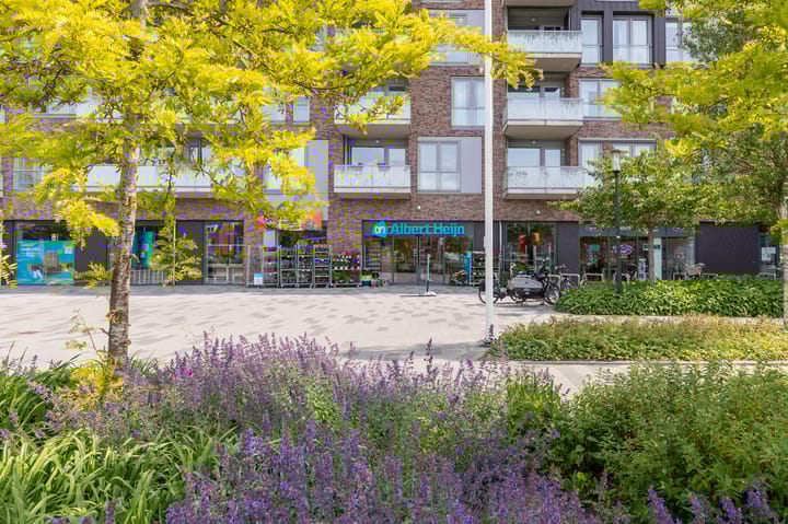 Foto 33 van Govert Oostwoudpad 4