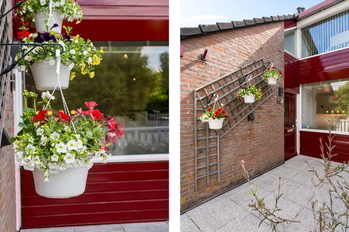 Foto 10 van Turfberg 29