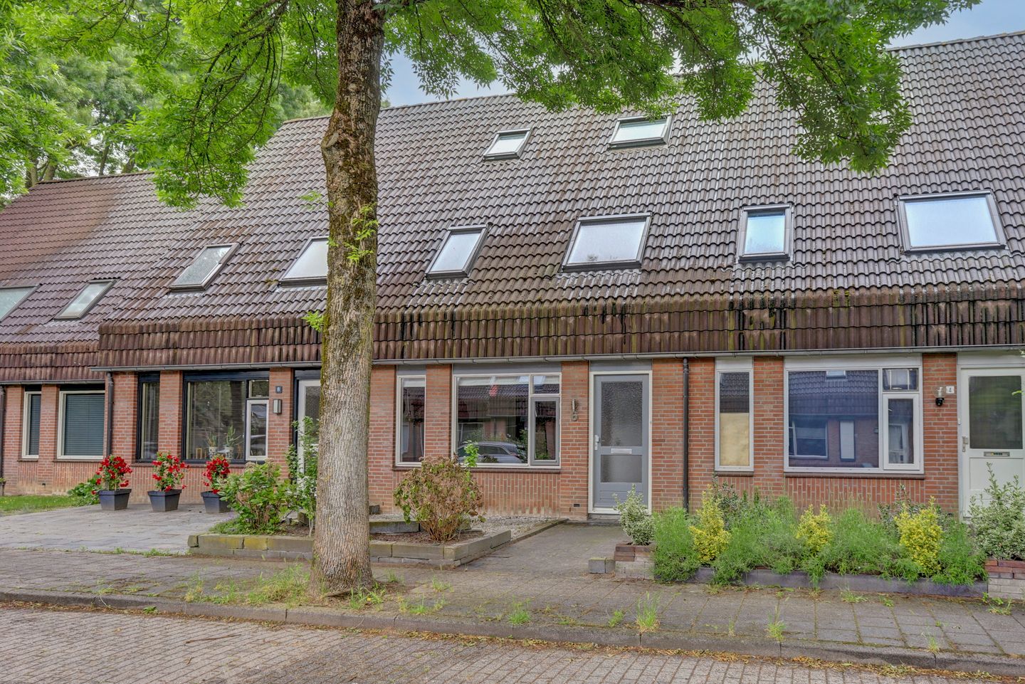Korenveld 6 main image