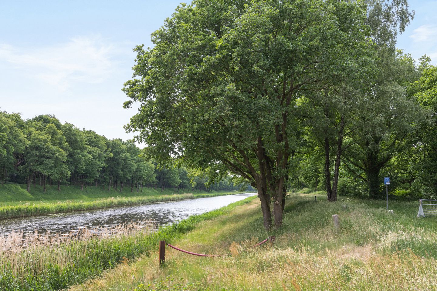 Foto 34 van Obrechtstraat 59