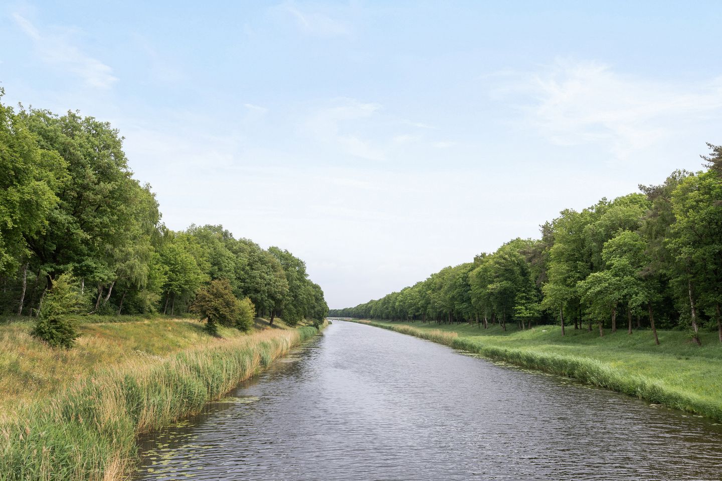 Foto 35 van Obrechtstraat 59