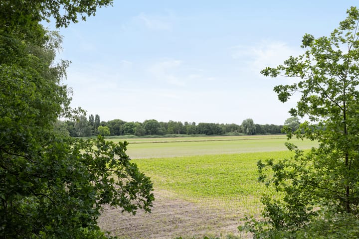 Foto 36 van Obrechtstraat 59