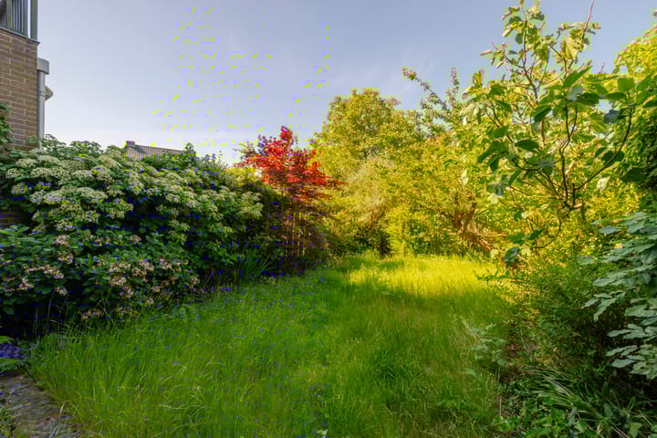 Foto 45 van Lucas van Leijdenlaan 13