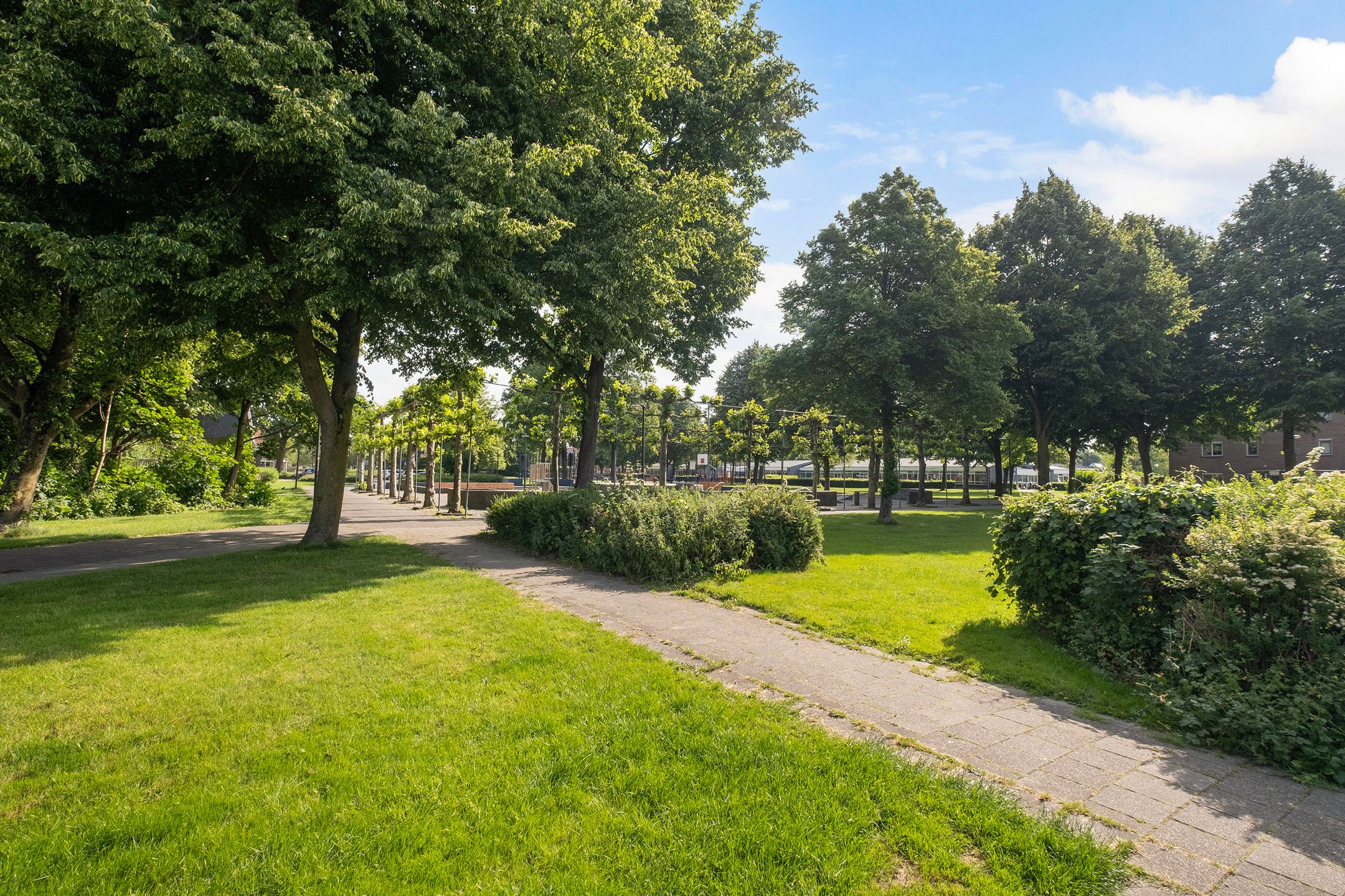 Foto 30 van Kruizemunt 98