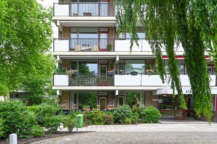 Foto 19 van Hammarskjöldlaan 211