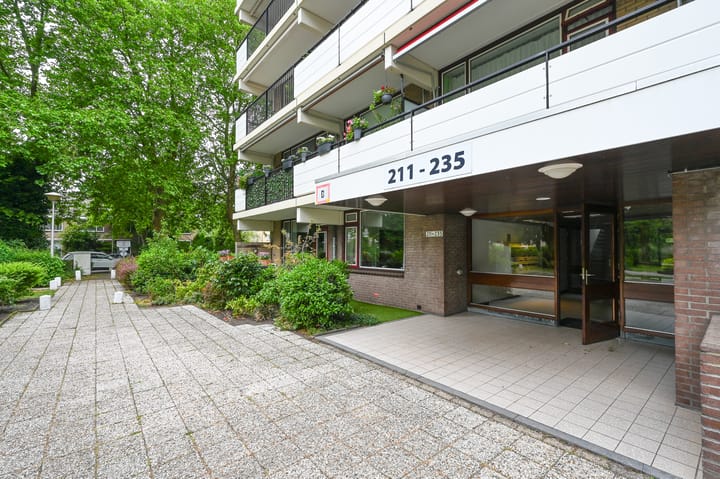 Foto 20 van Hammarskjöldlaan 211