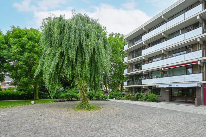 Foto 21 van Hammarskjöldlaan 211