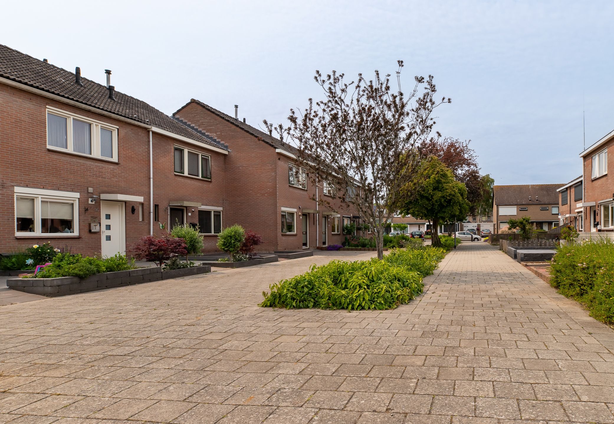 Foto 30 van Nink 101