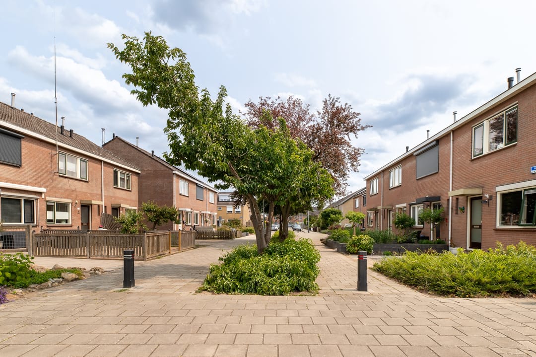 Foto 31 van Nink 101