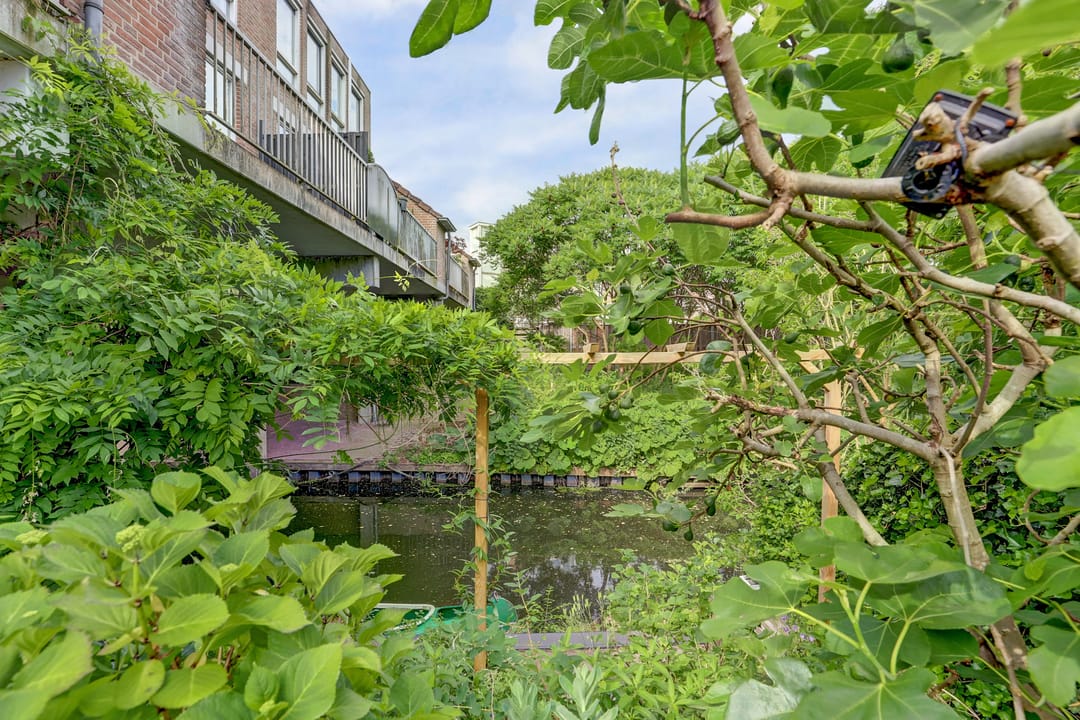 Foto 31 van Galoppeerbaan 10