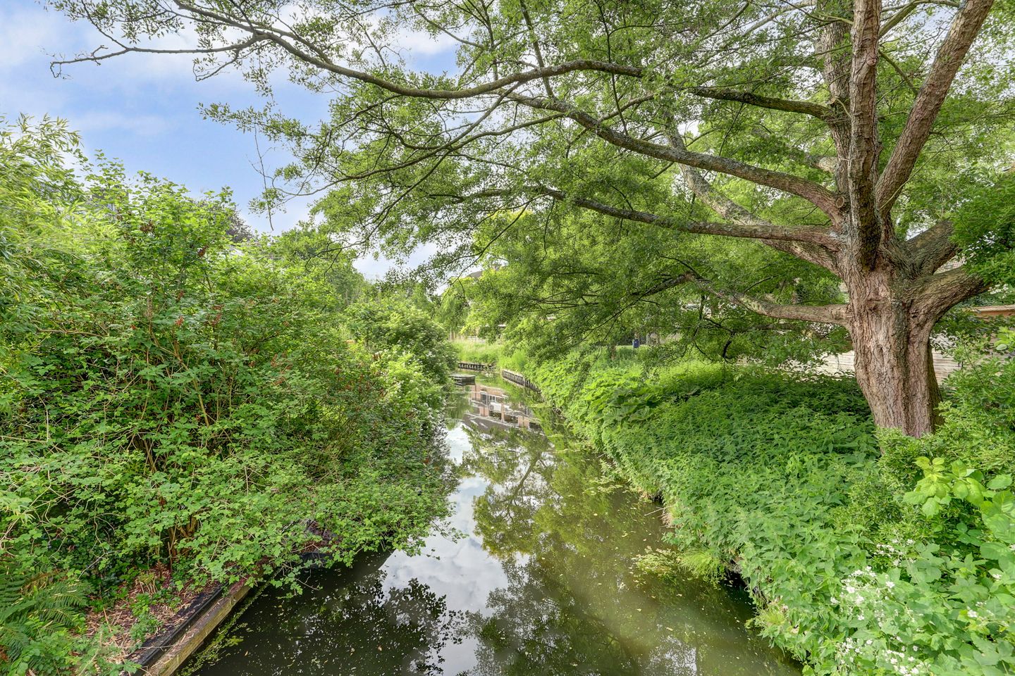 Foto 35 van Galoppeerbaan 10