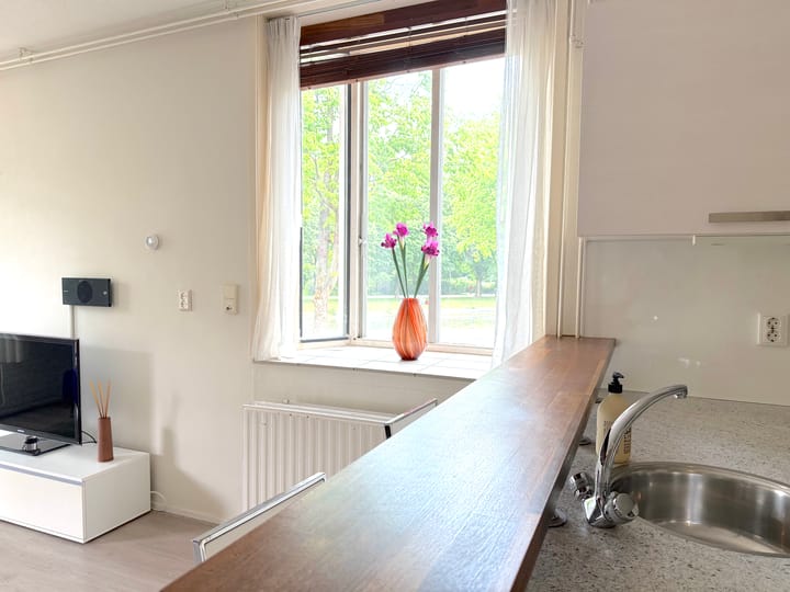 Foto 8 van Van Beuningenstraat 1-A