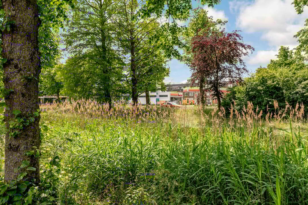 Foto 43 van Dr. H.J. Lovinklaan 8