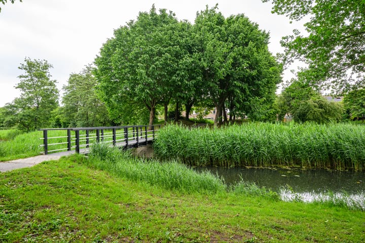 Foto 4 van Schoener 48 19